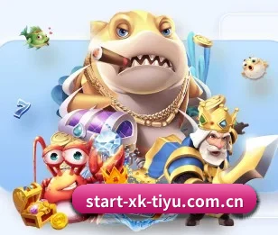 专业体育资讯平台