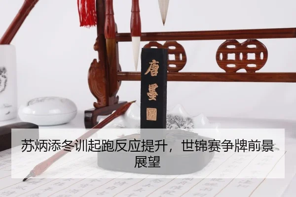 su-bing-tian-dong-xun-qi-pao-fan-ying-ti-sheng-shi-jin-sai-zheng-pai-qian-jing-zhan-wang-3-851.jpg