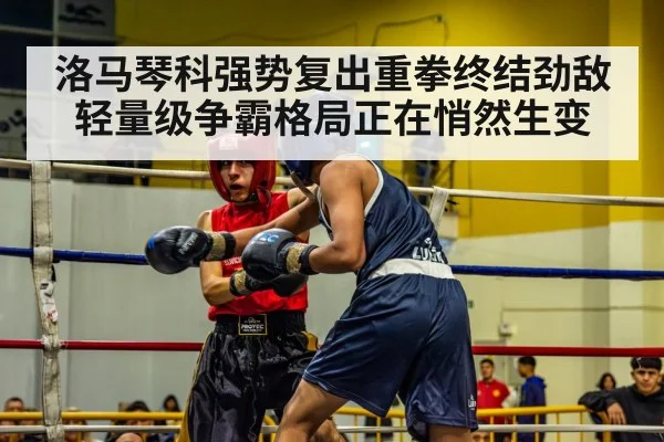 洛马琴科强势复出重拳终结劲敌 轻量级争霸格局正在悄然生变