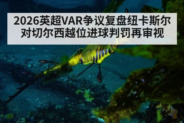 2026英超VAR争议复盘纽卡斯尔对切尔西越位进球判罚再审视